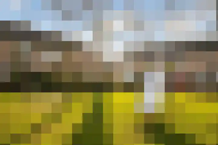 Tulpenhof 19 De Goorn thumbnail 60