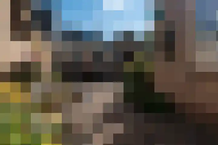 Tulpenhof 4 De Goorn thumbnail 41