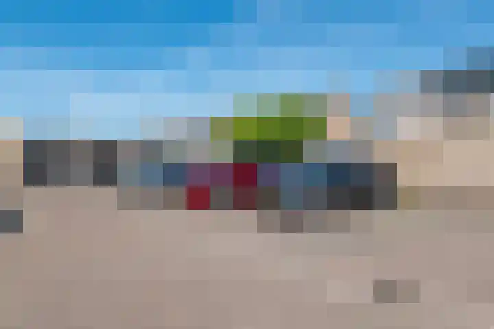 Tulpenhof 4 De Goorn thumbnail 45