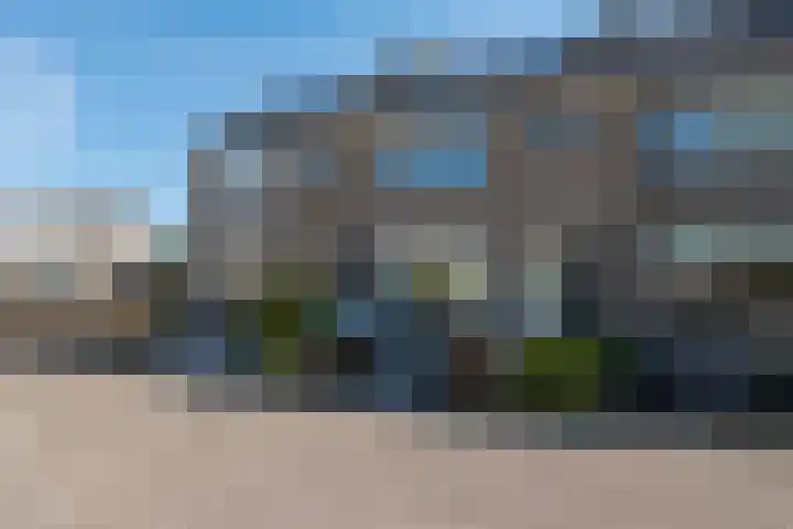 Tulpenhof 4 De Goorn thumbnail 48