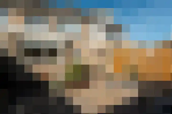 Tulpenhof 4 De Goorn thumbnail 5