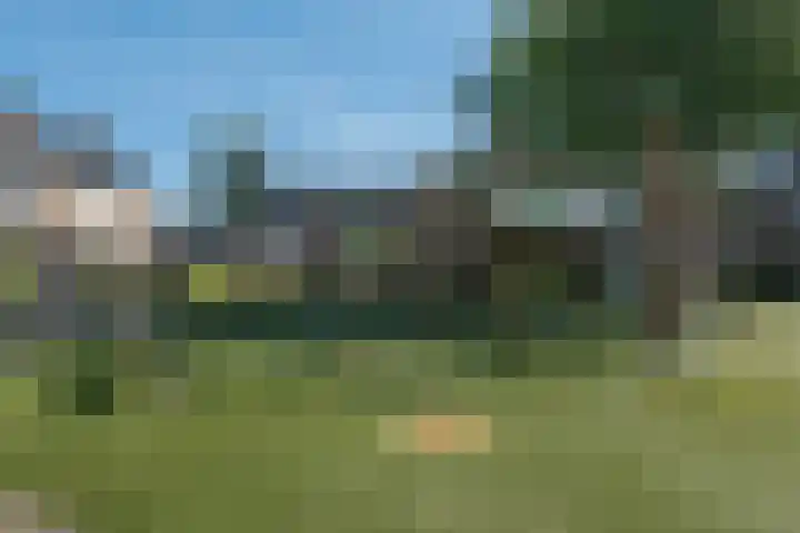 Tulpenhof 4 De Goorn thumbnail 50