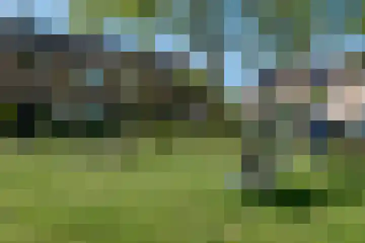 Tulpenhof 4 De Goorn thumbnail 51