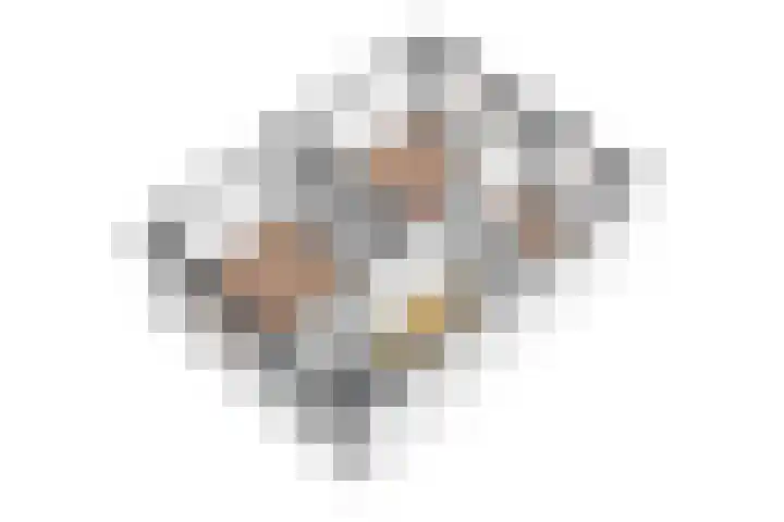 Tulpenhof 4 De Goorn thumbnail 56