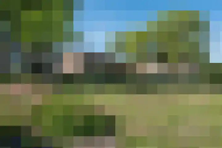 Tulpenhof 4 De Goorn thumbnail 6