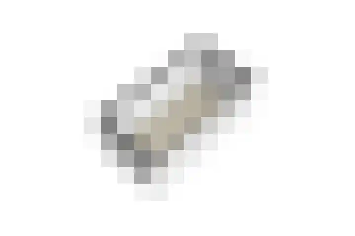 Tulpenhof 4 De Goorn thumbnail 66