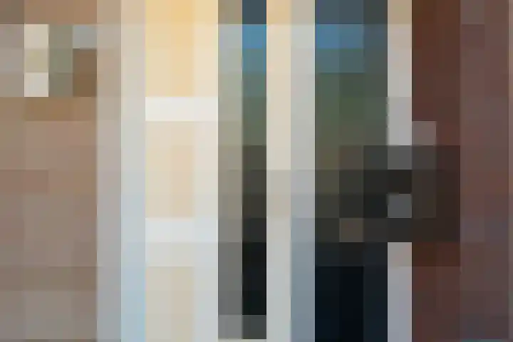 Tulpenhof 4 De Goorn thumbnail 7