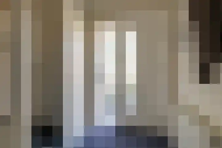 Tulpenhof 4 De Goorn thumbnail 8