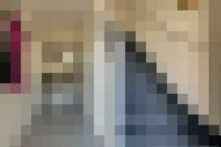 Tulpenhof 4 De Goorn thumbnail 9