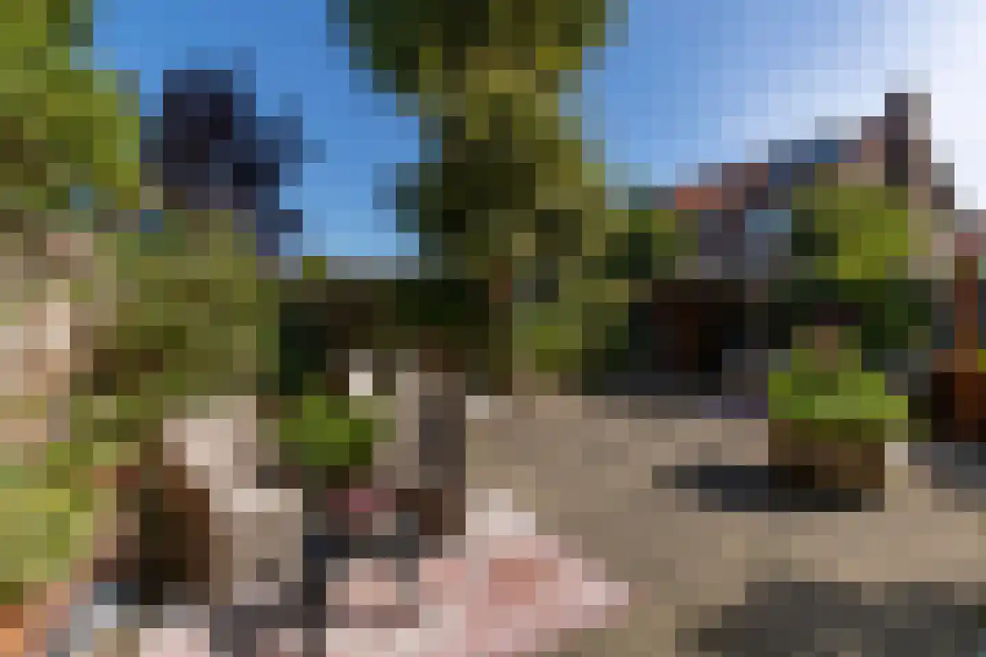 Tulpenlaan 13 Bennebroek thumbnail 17