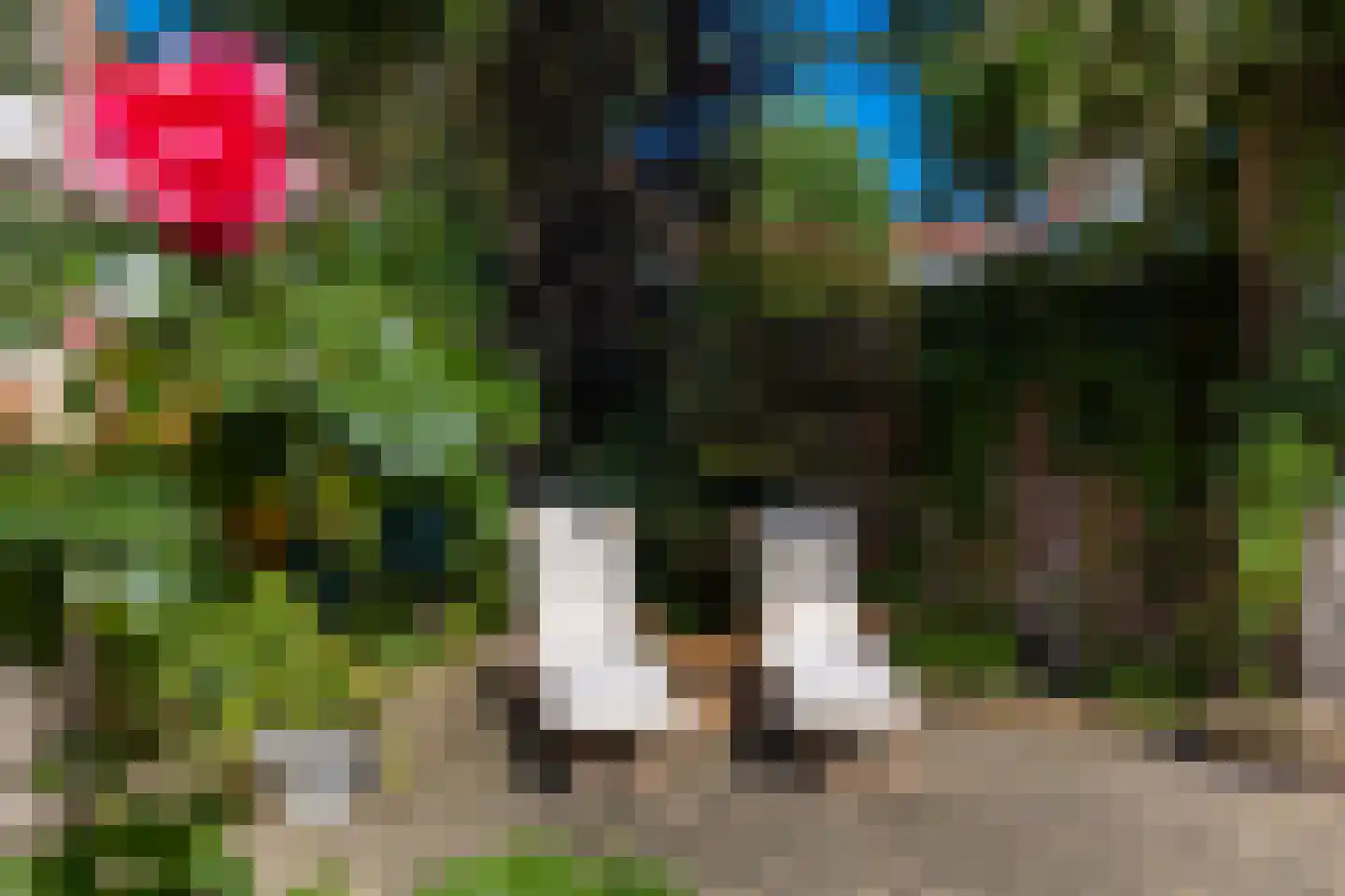 Tulpenlaan 13 Bennebroek thumbnail 18