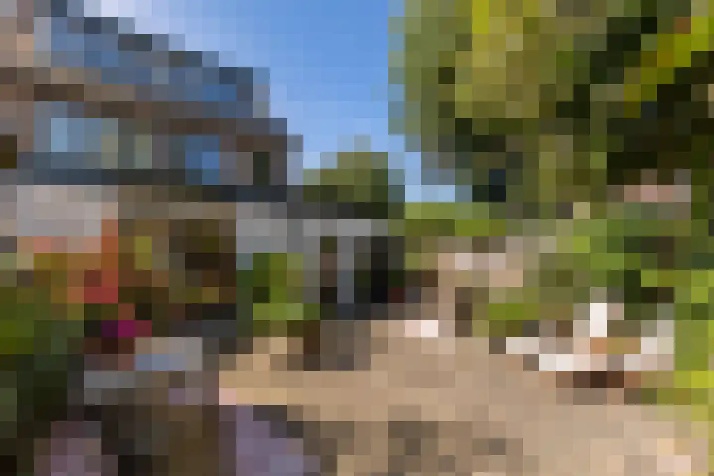 Tulpenlaan 13 Bennebroek thumbnail 19