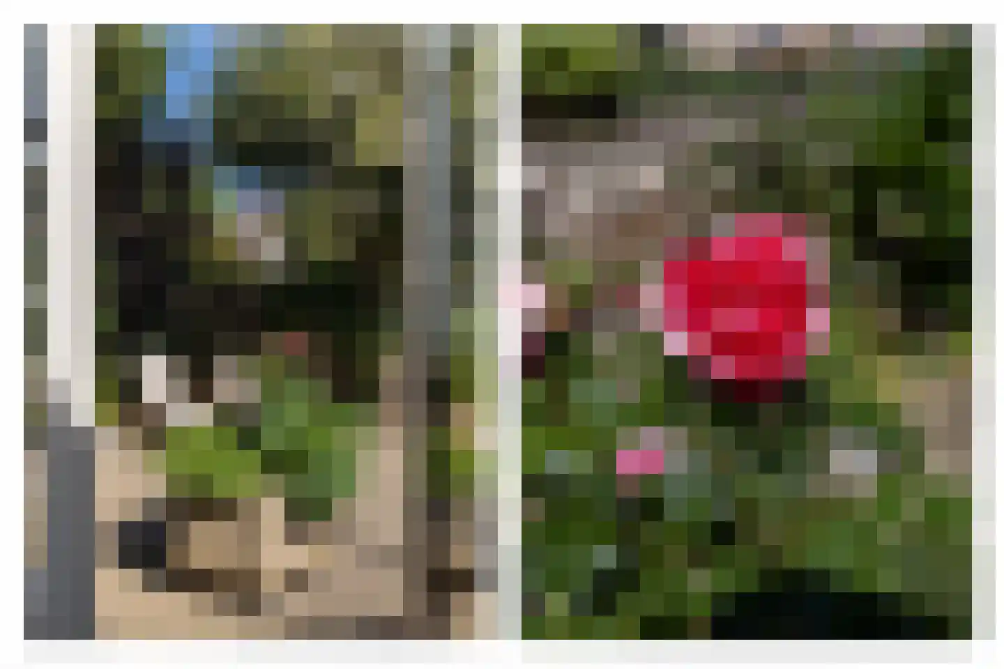 Tulpenlaan 13 Bennebroek thumbnail 20