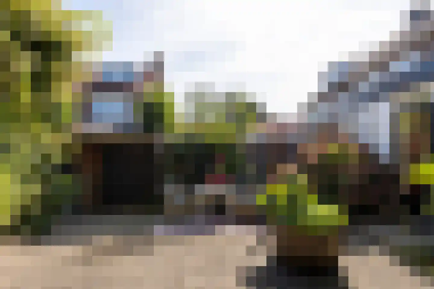Tulpenlaan 13 Bennebroek thumbnail 23