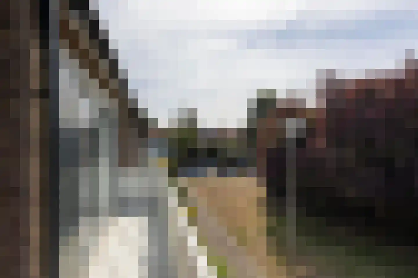 Tulpenlaan 13 Bennebroek thumbnail 33