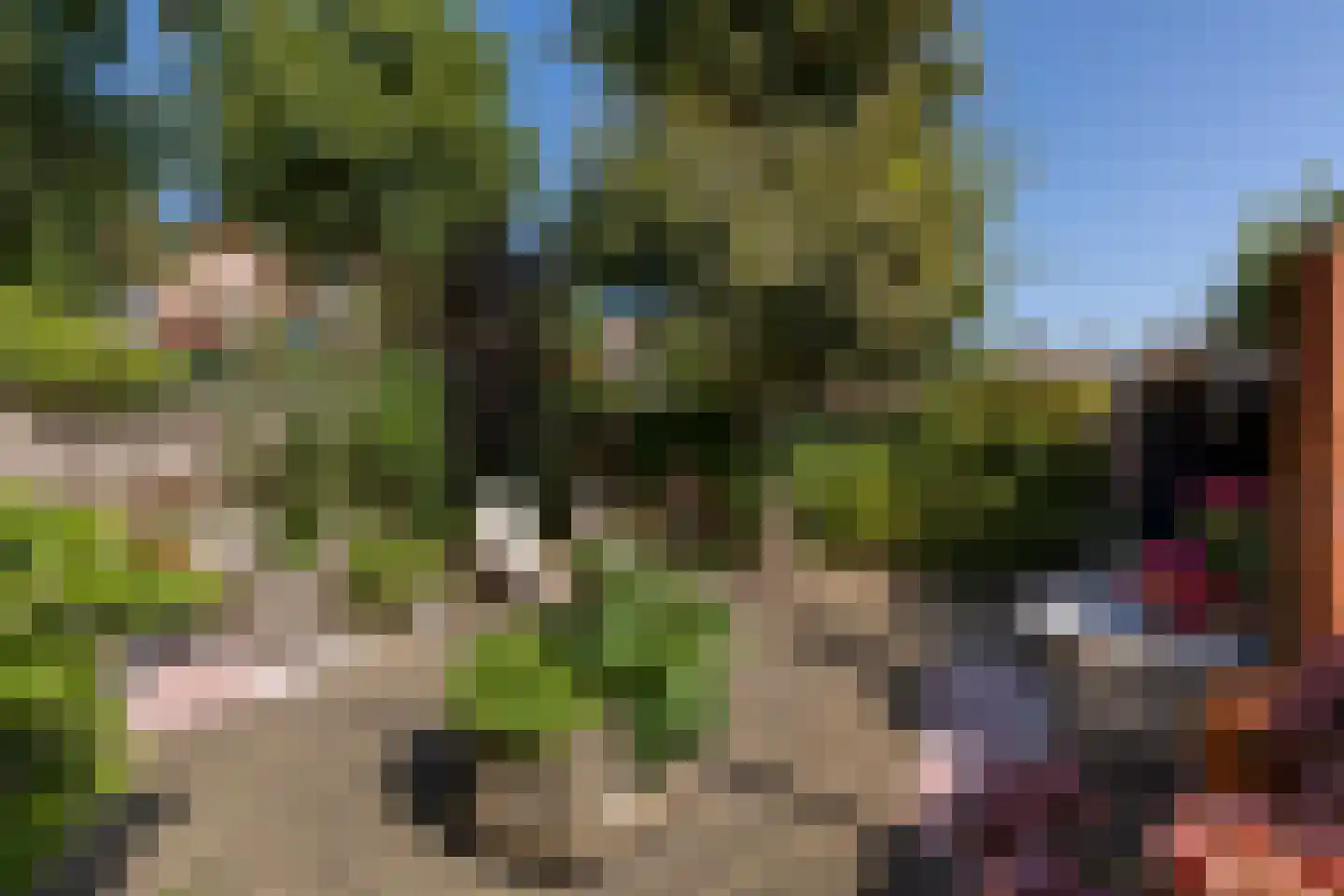 Tulpenlaan 13 Bennebroek thumbnail 4