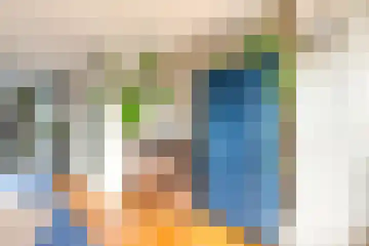 Tulpenlaan 14 Winkel thumbnail 19