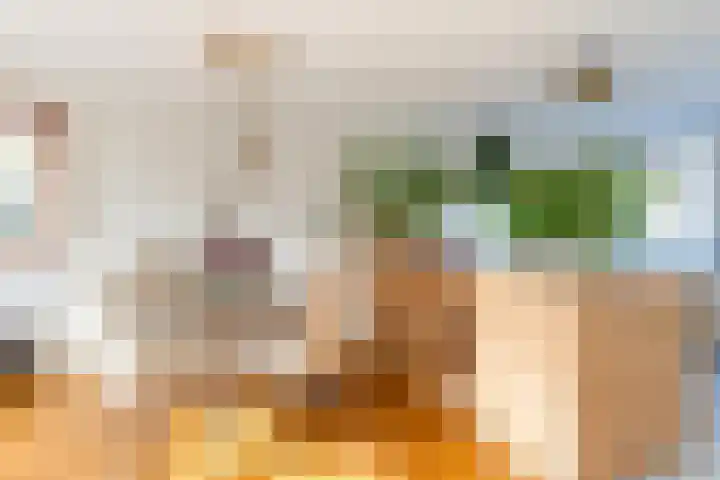 Tulpenlaan 14 Winkel thumbnail 20