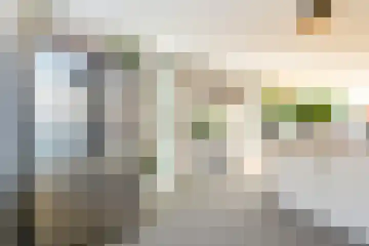 Tulpenlaan 14 Winkel thumbnail 25