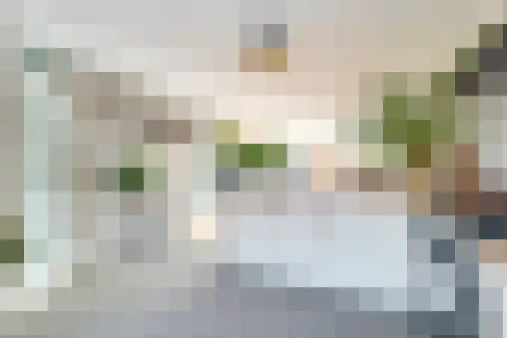 Tulpenlaan 14 Winkel thumbnail 26