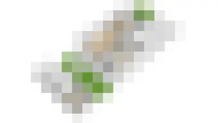 Tulpenlaan 14 Winkel thumbnail 91