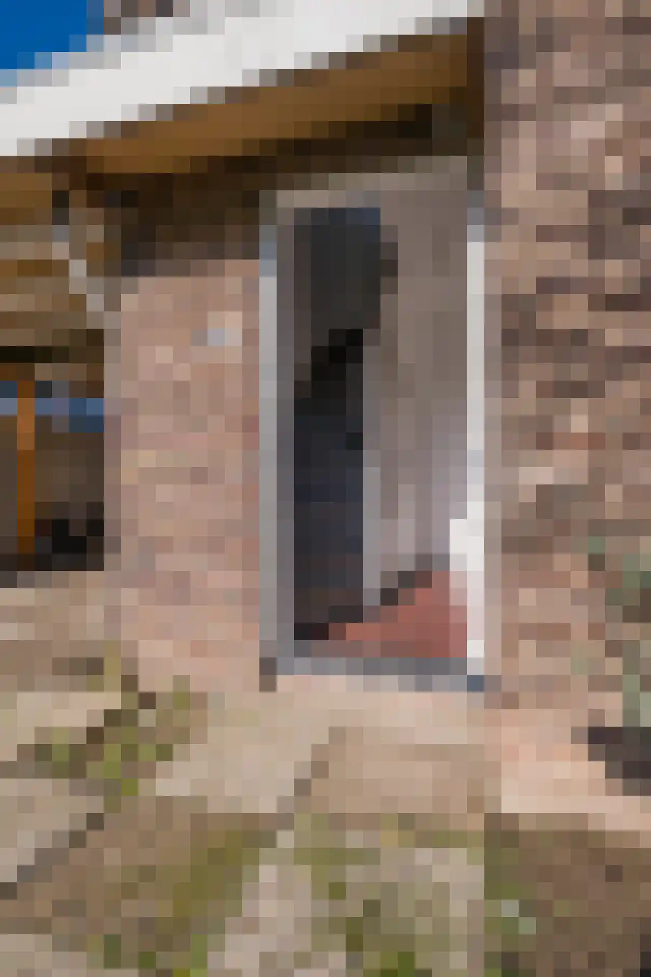 Tulpenlaan 16 Geleen thumbnail 6