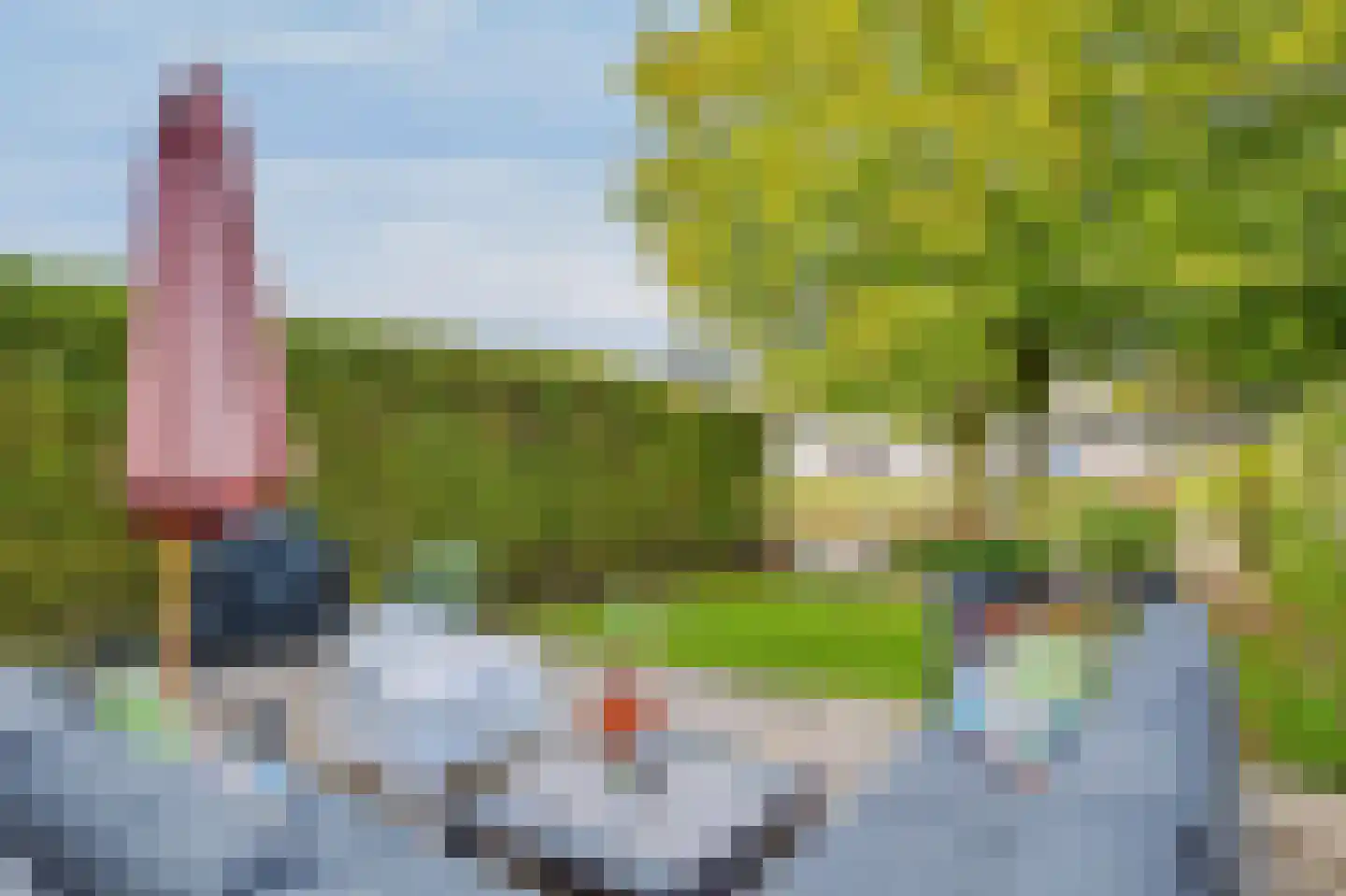 Tulpenlaan 17 Bennebroek thumbnail 23