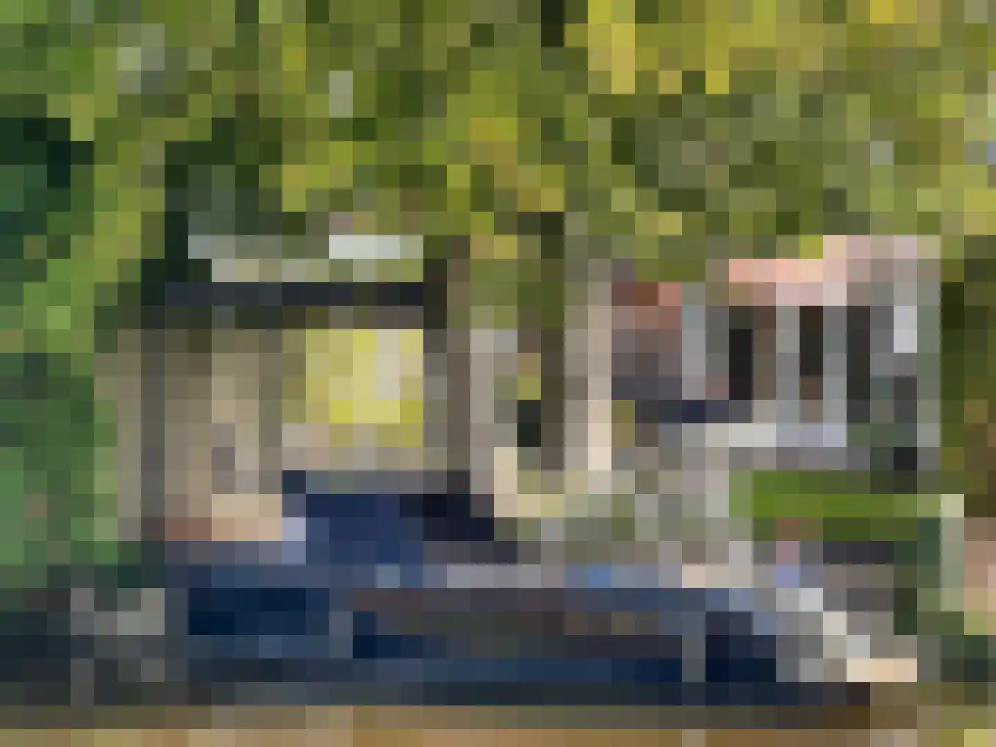 Tulpenlaan 17 Bennebroek thumbnail 29