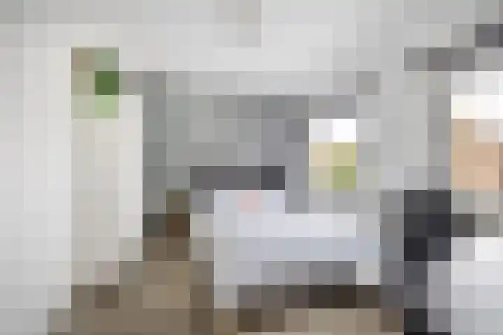 Tulpenlaan 22 Bennebroek thumbnail 15