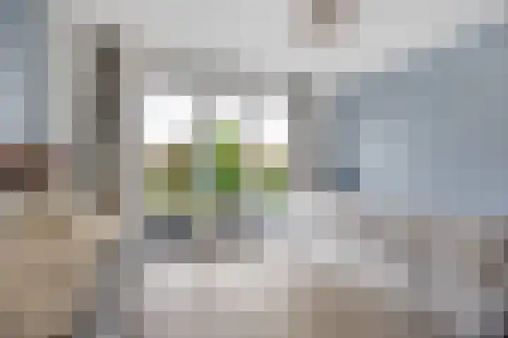Tulpenlaan 22 Bennebroek thumbnail 16