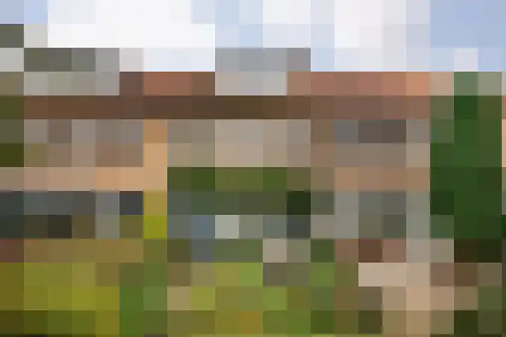 Tulpenlaan 22 Bennebroek thumbnail 22