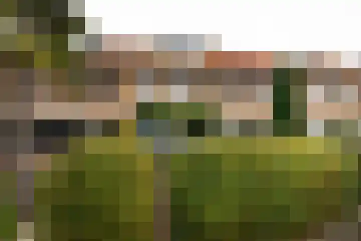 Tulpenlaan 22 Bennebroek thumbnail 23