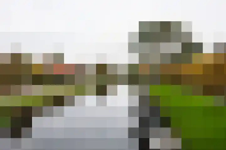 Tulpenlaan 22 Bennebroek thumbnail 24