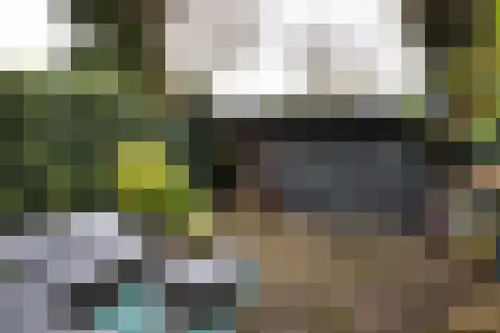 Tulpenlaan 22 Bennebroek thumbnail 6