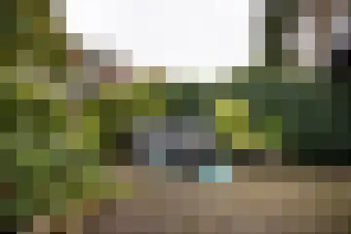 Tulpenlaan 22 Bennebroek thumbnail 7