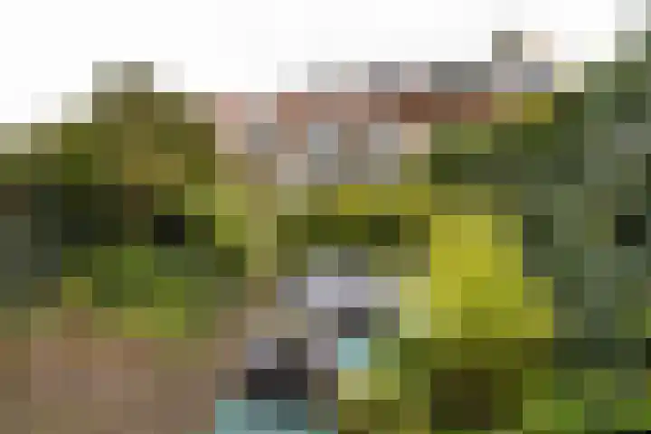 Tulpenlaan 22 Bennebroek thumbnail 8