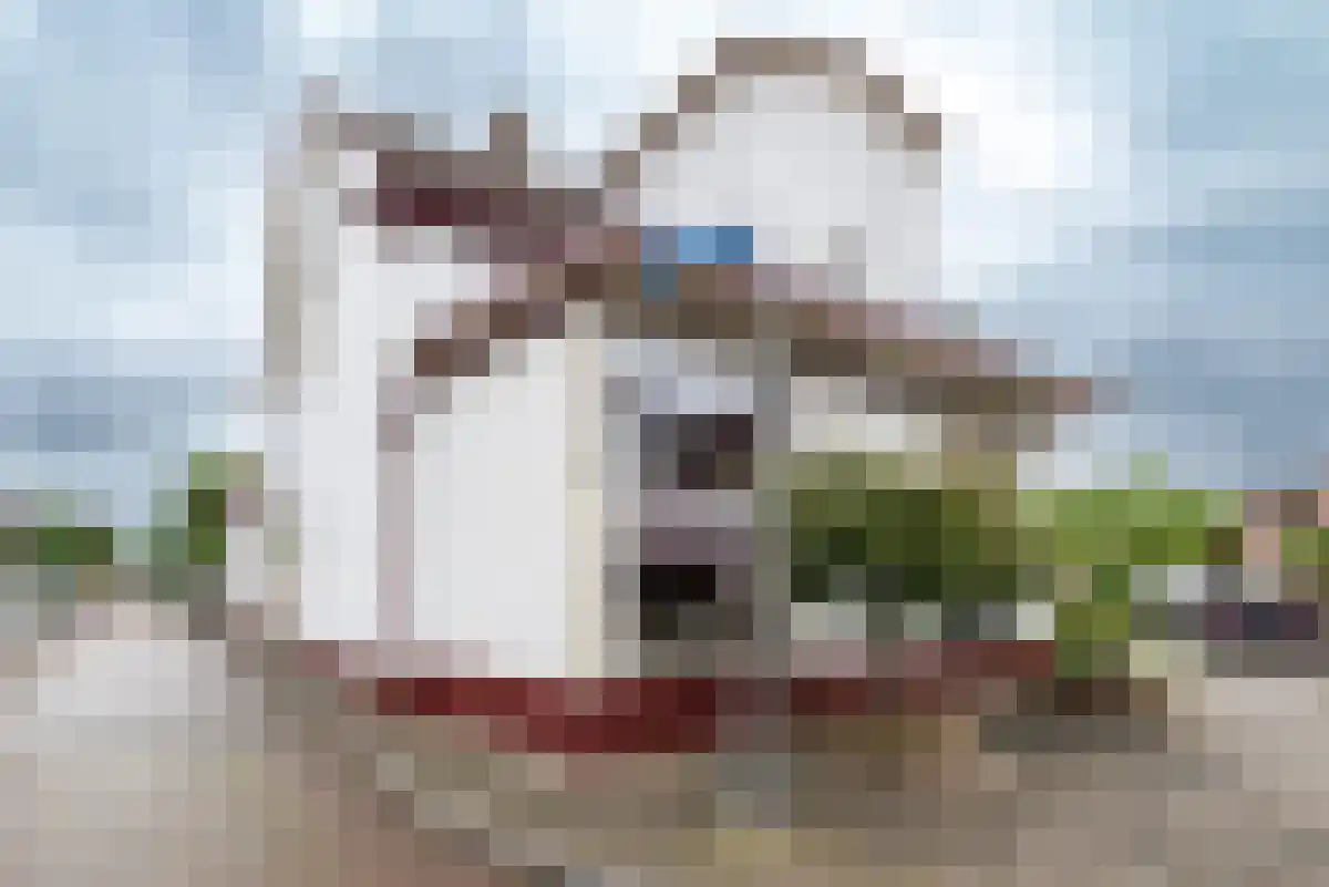 Tulpenlaan 29 Apeldoorn thumbnail 4