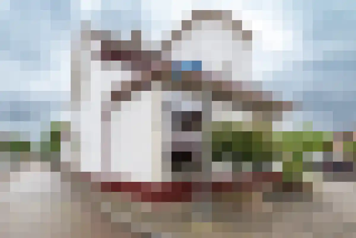 Tulpenlaan 29 Apeldoorn thumbnail 4