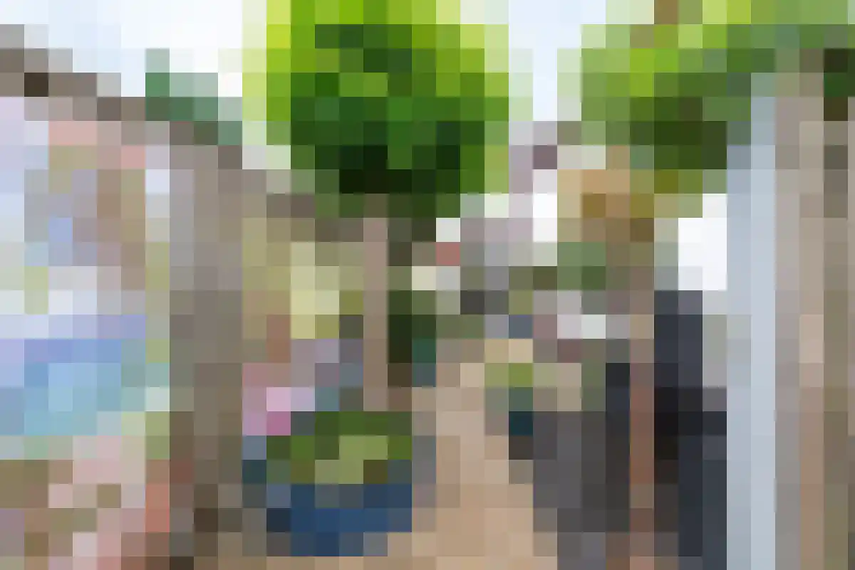 Tulpenlaan 29 Apeldoorn thumbnail 40