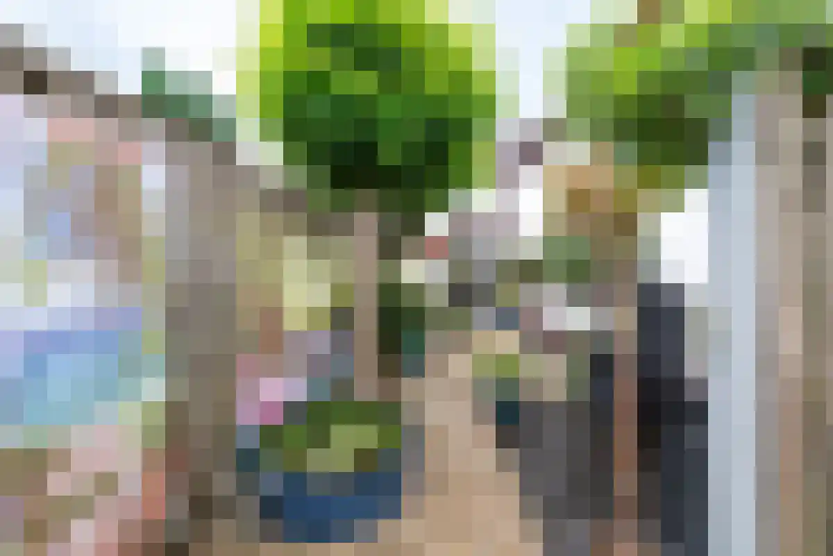 Tulpenlaan 29 Apeldoorn thumbnail 40