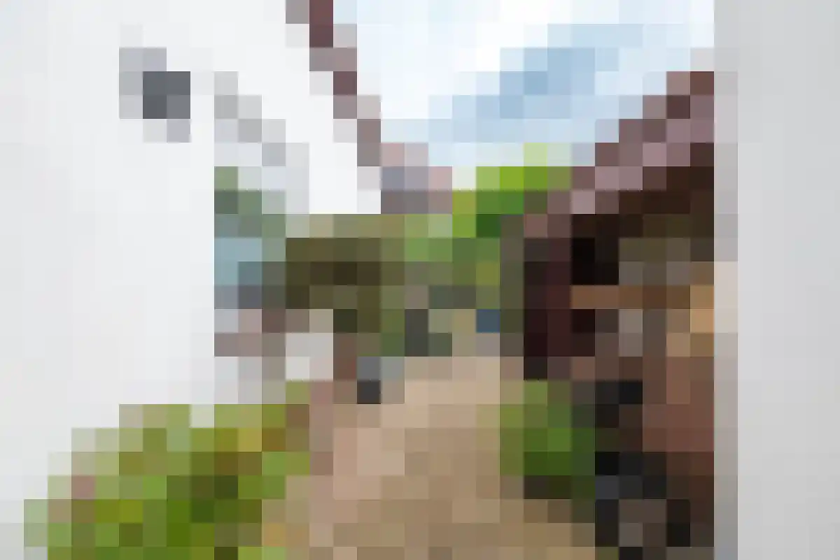Tulpenlaan 29 Apeldoorn thumbnail 43