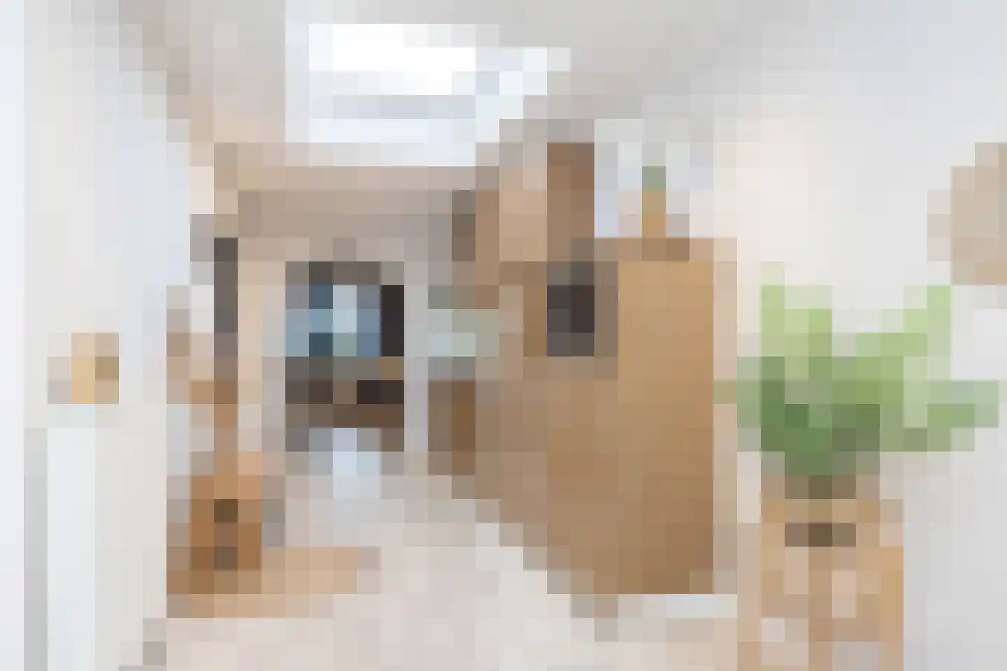 Tulpenlaan 37 Geleen thumbnail 10