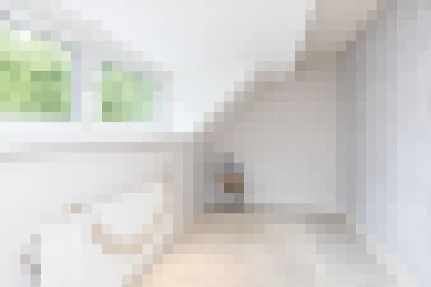 Tulpenlaan 37 Geleen thumbnail 23