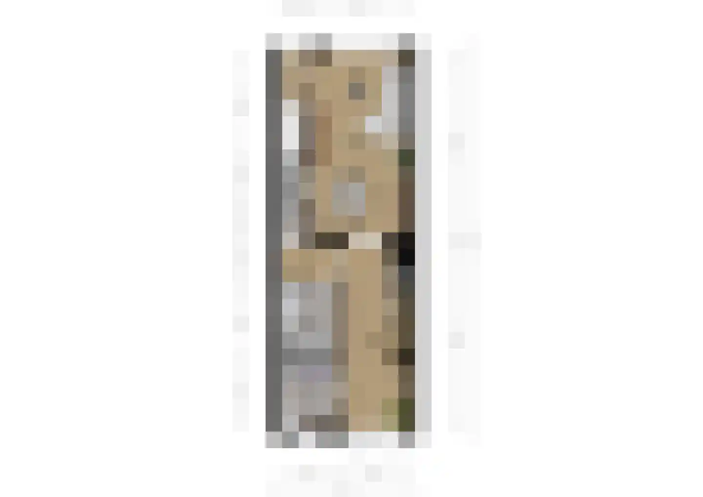 Tulpenlaan 37 Geleen thumbnail 34