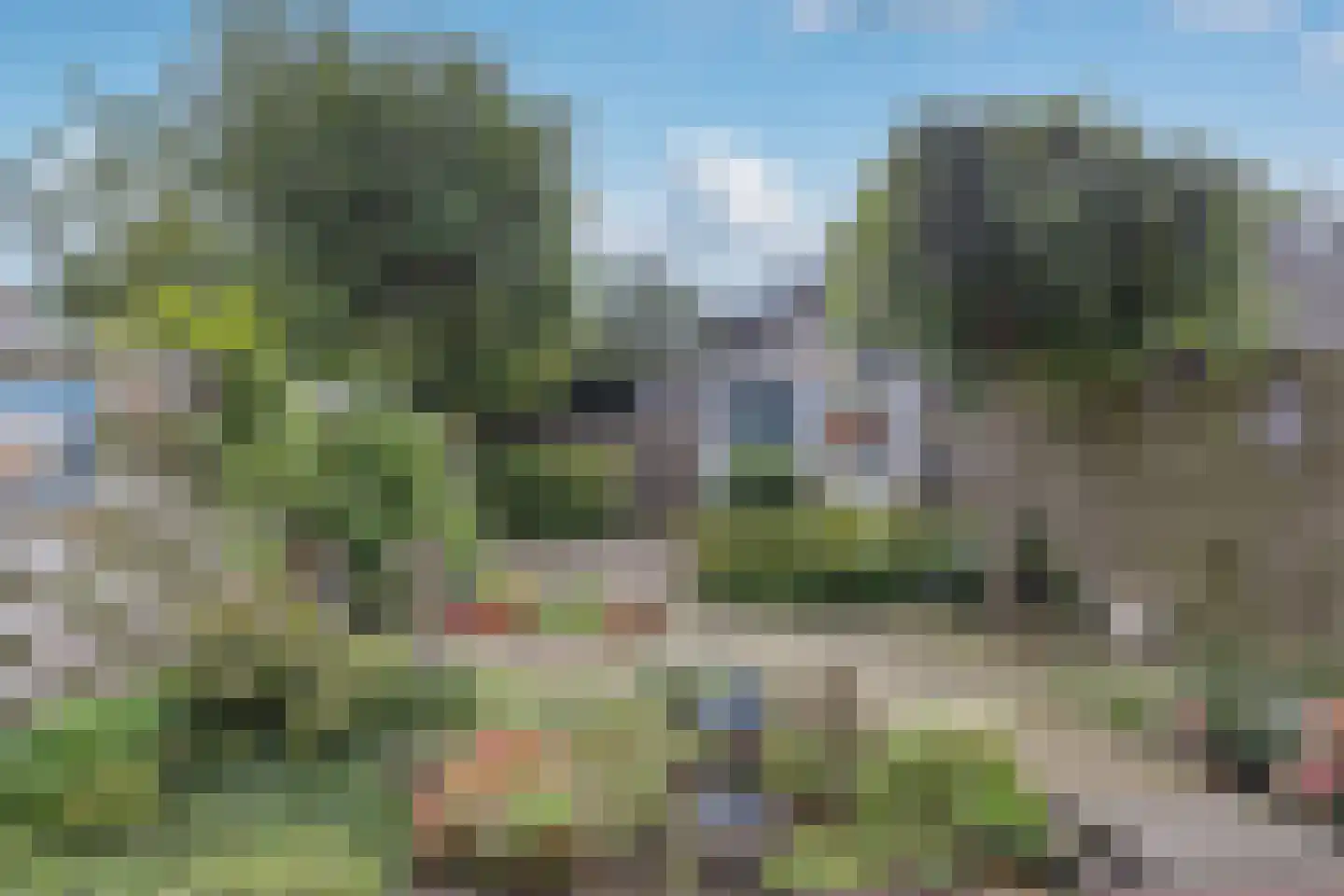 Tulpenlaan 40 Bennebroek thumbnail 21