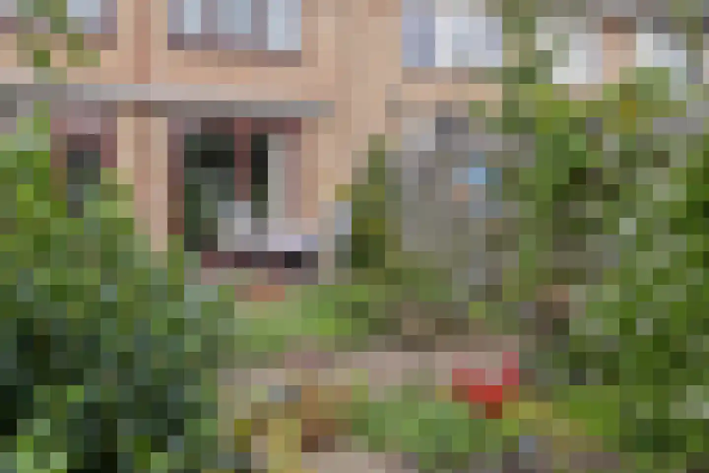 Tulpenlaan 40 Bennebroek thumbnail 23