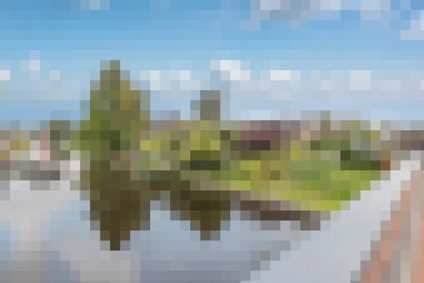 Tulpenlaan 40 Bennebroek thumbnail 42