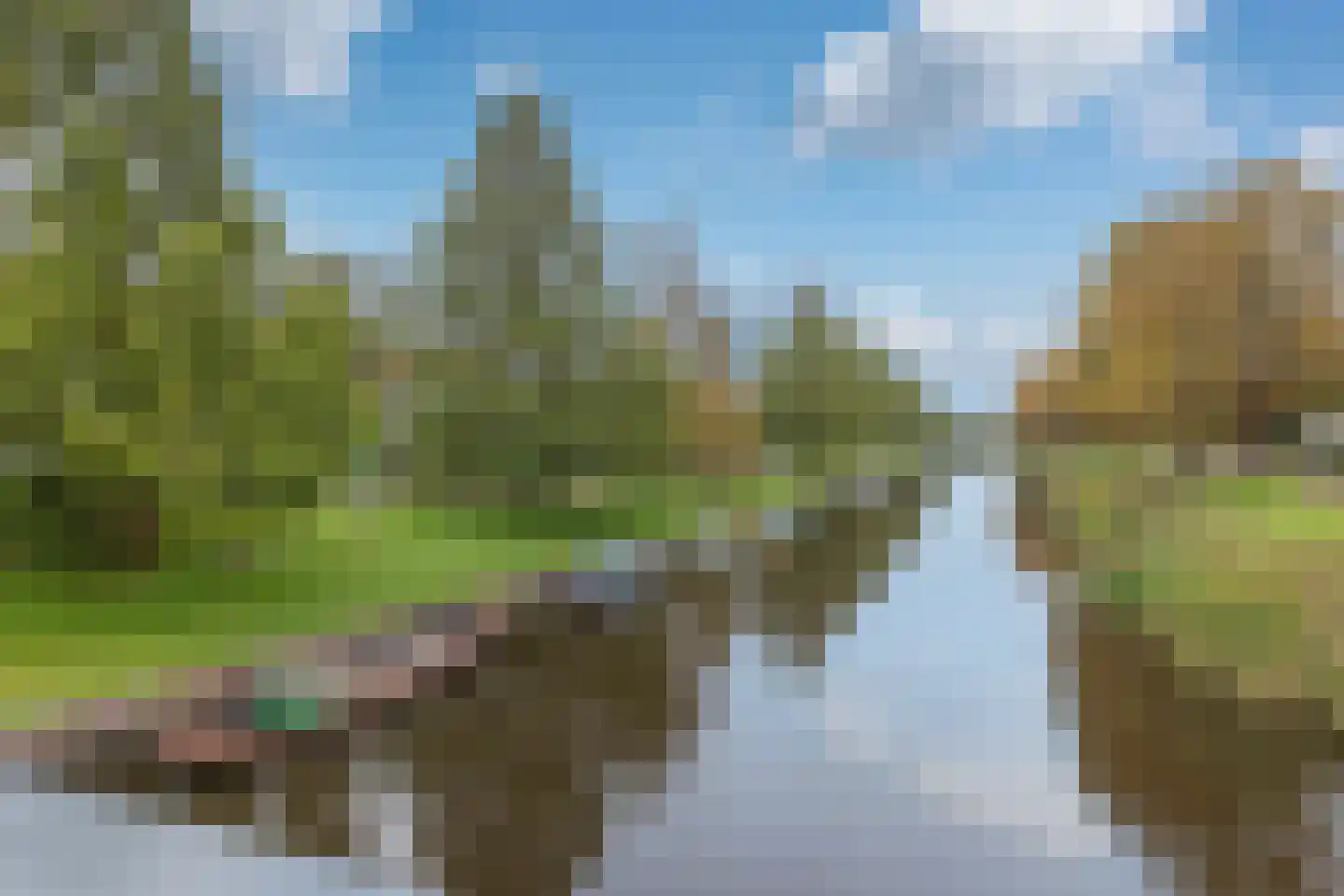 Tulpenlaan 40 Bennebroek thumbnail 43