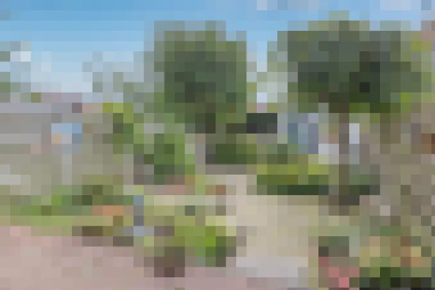 Tulpenlaan 40 Bennebroek thumbnail 7