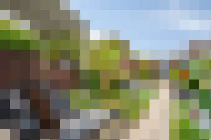 Tulpenlaan 43 Geleen thumbnail 15